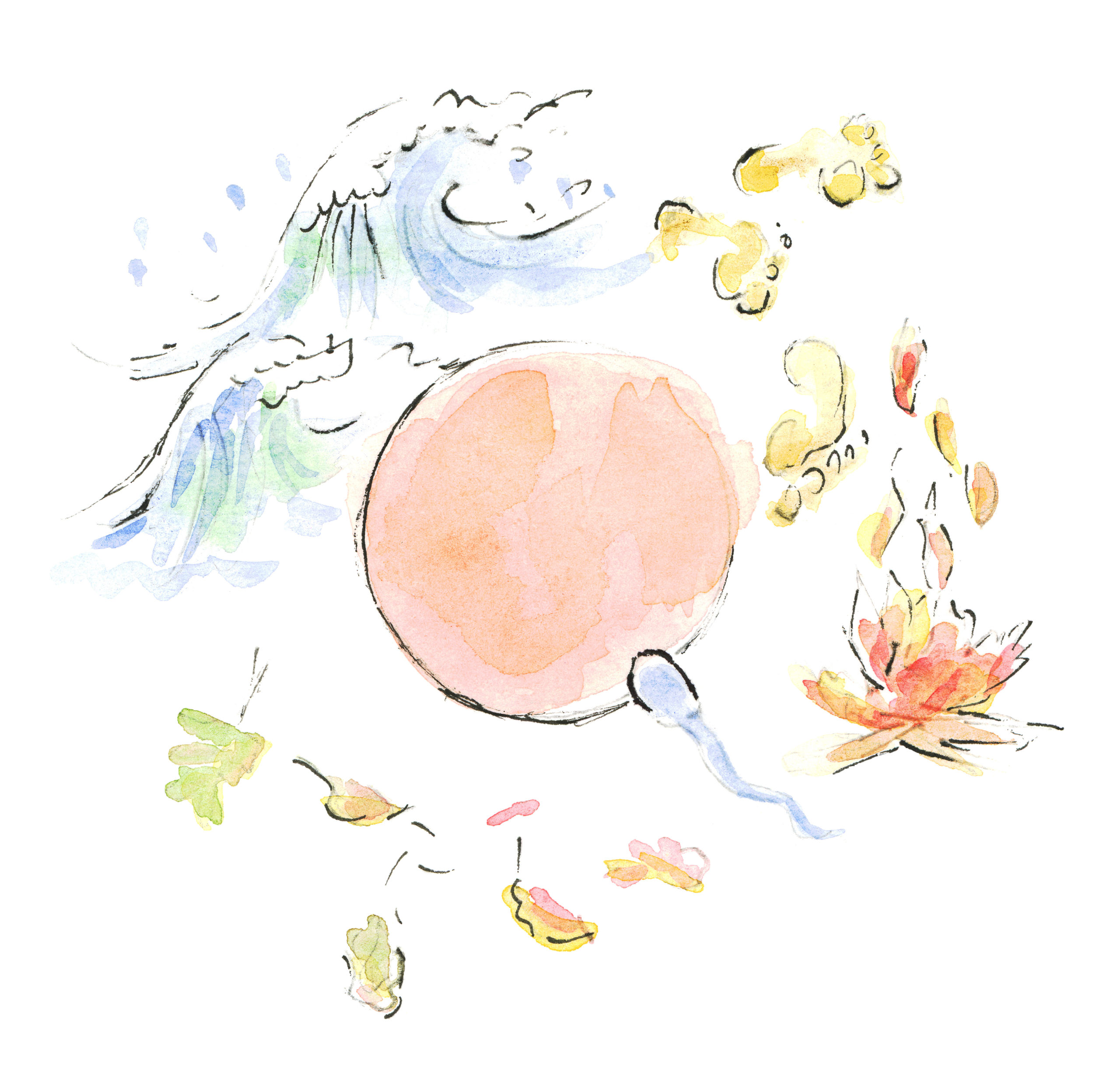 bien-vivre-le-cycle-Gabrielle-Vialla