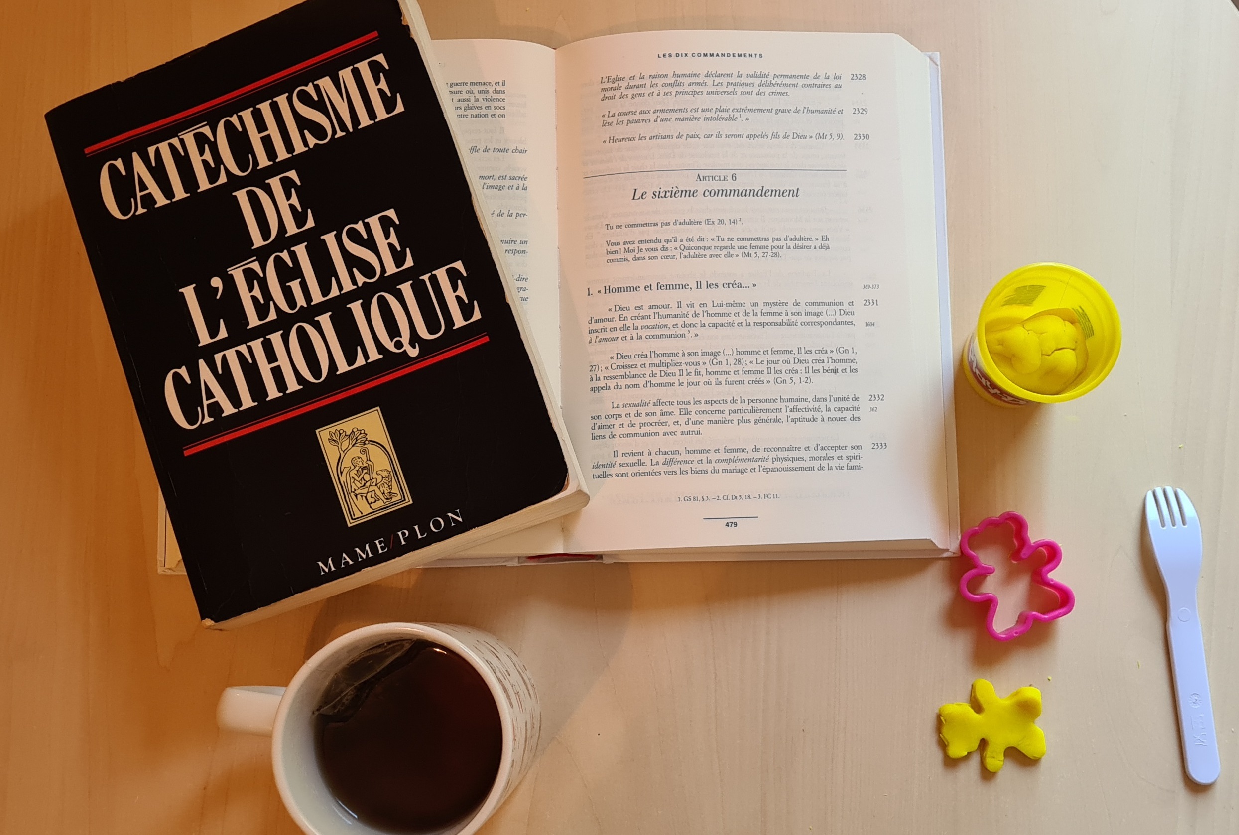 Page De Garde Catechisme Réécriture du Catéchisme de l’Église catholique : Est-ce vraiment pour
