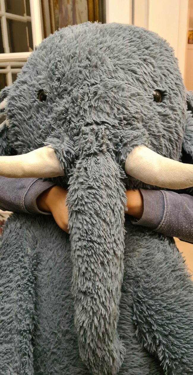 elephant